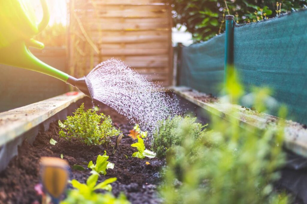Entretenir le jardin pendant l'été